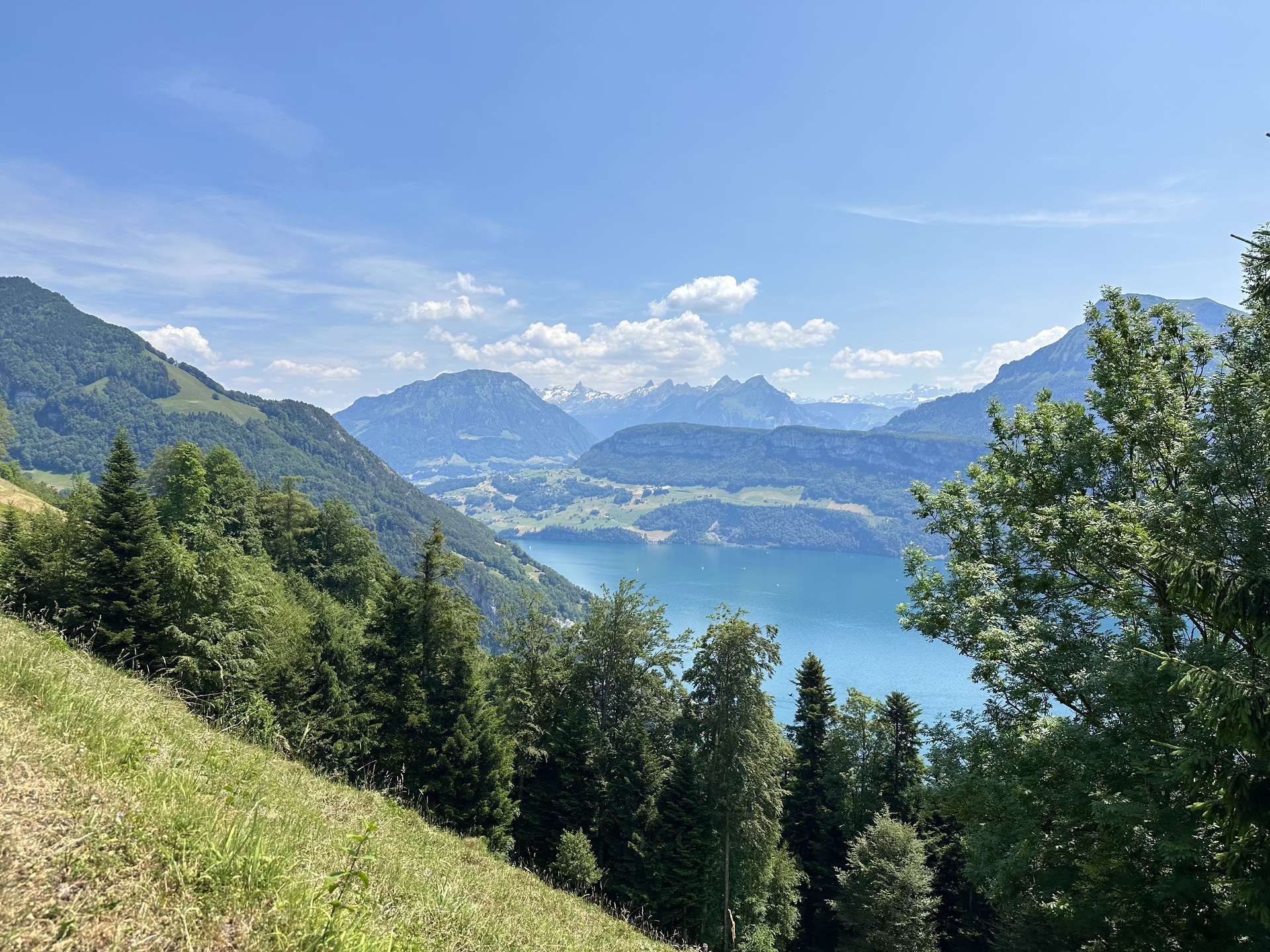 wanderung gersau panorama bänkli strecke 2