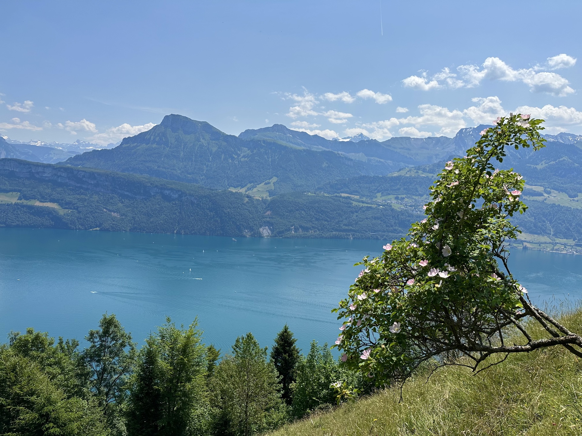 wanderung gersau panorama bänkli strecke 3