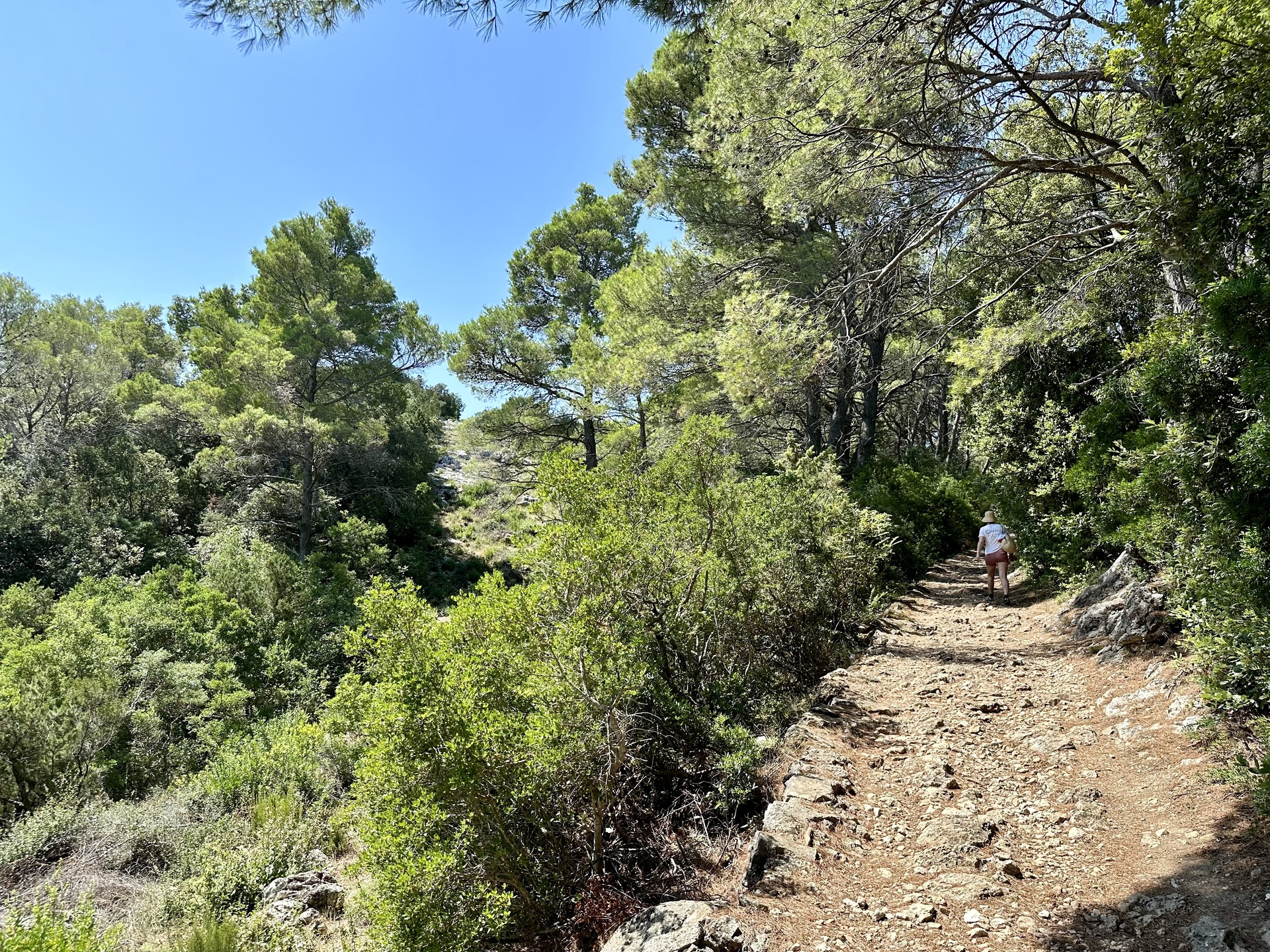 Wanderung Mljet Kroatien Lagune Strecke 1
