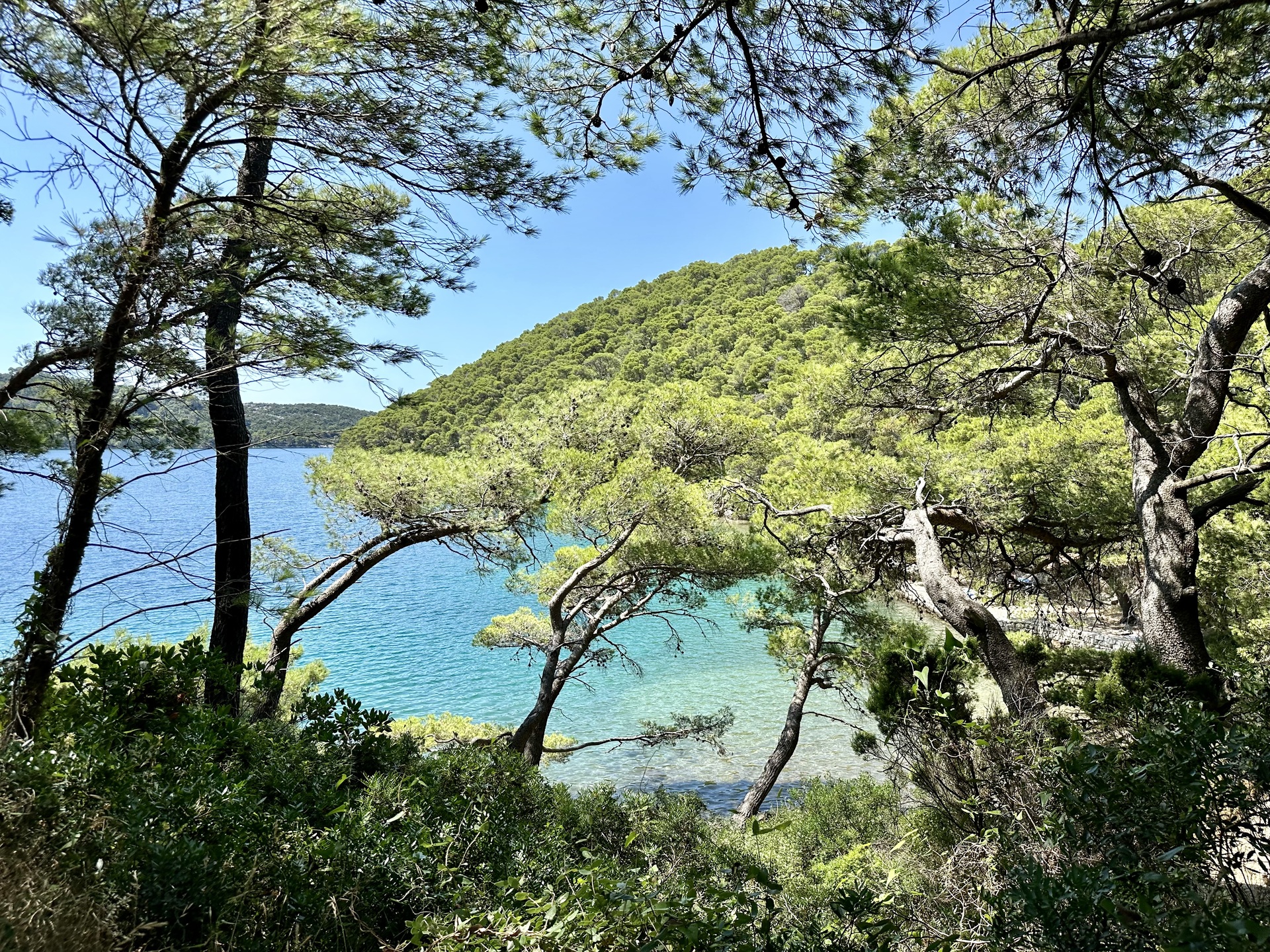 Wanderung Mljet Kroatien Lagune Strecke 2