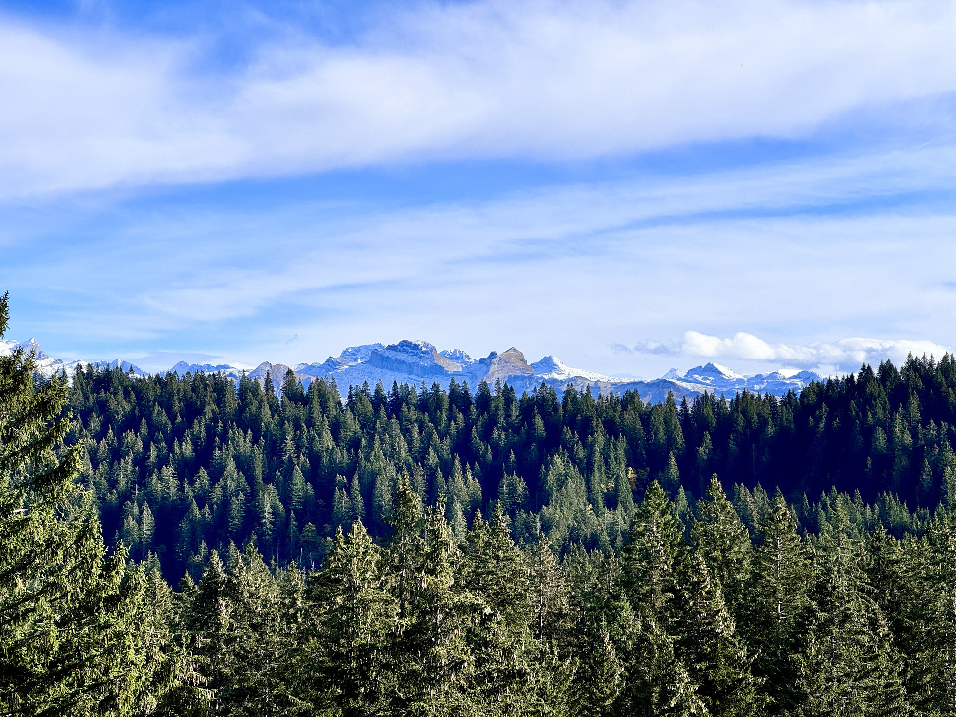 Wanderung Sattel Hochstuckli Strecke 2