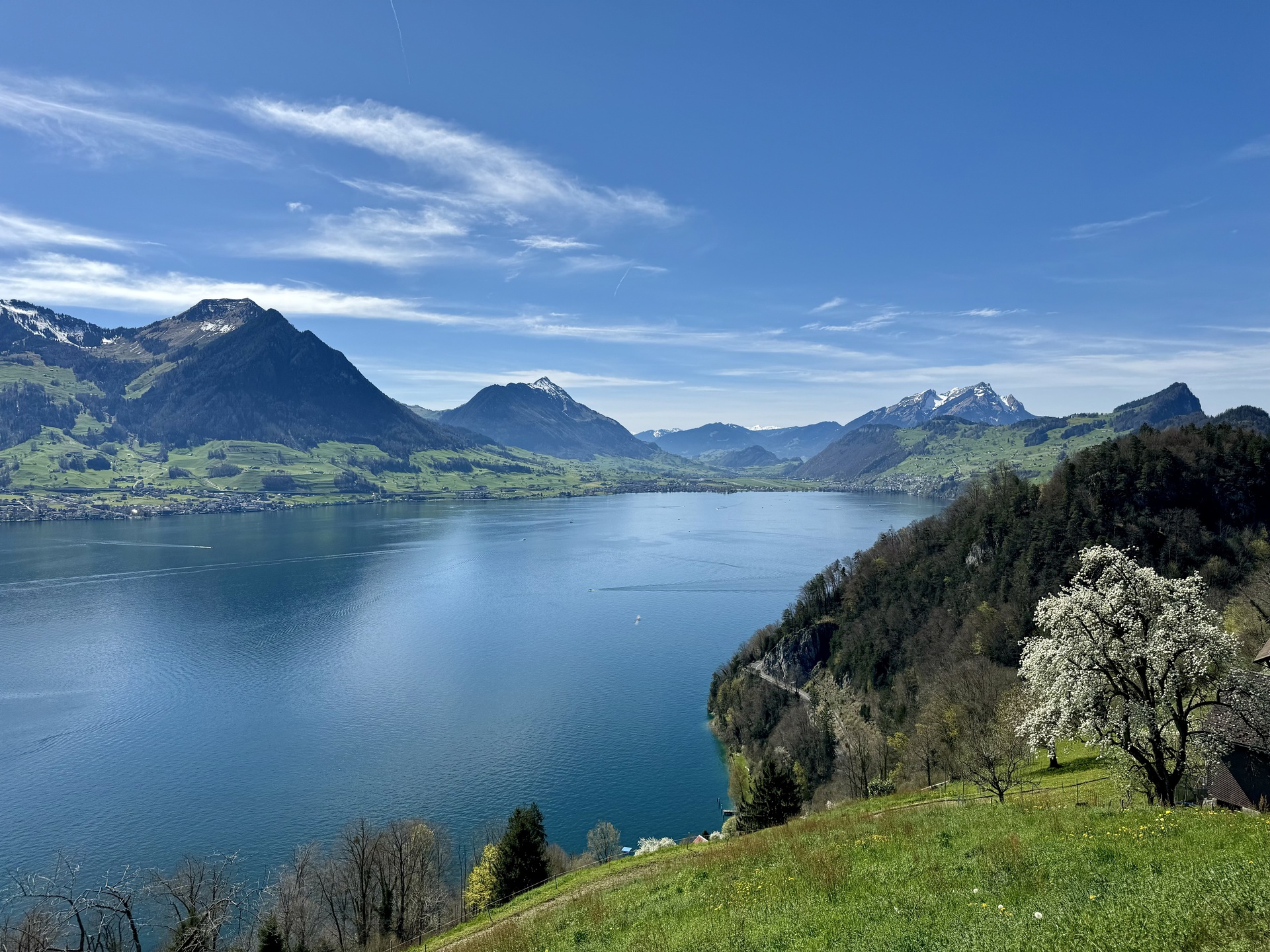 wanderung vitznau rigi wissifluh strecke 2