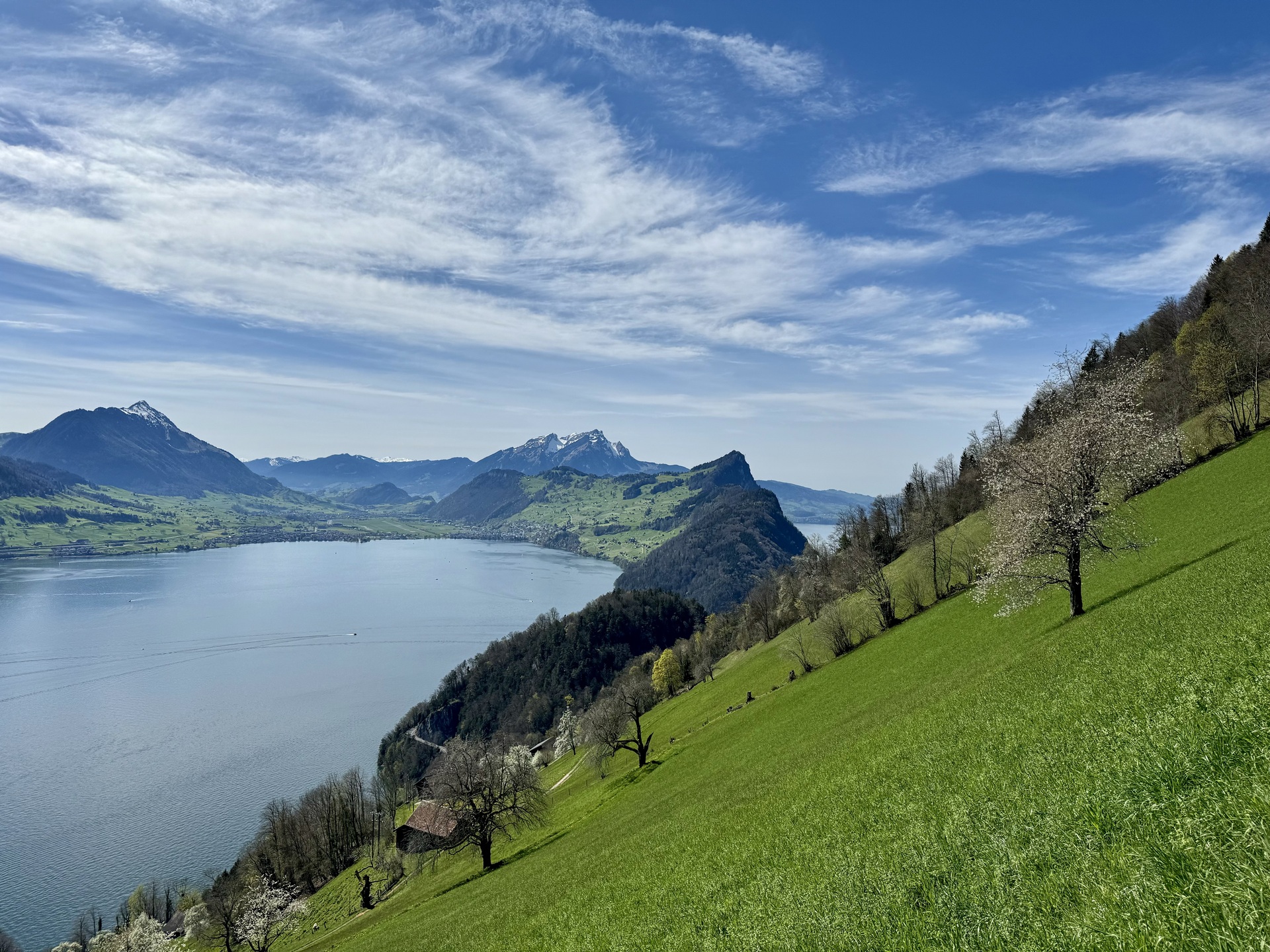 wanderung vitznau rigi wissifluh strecke 3