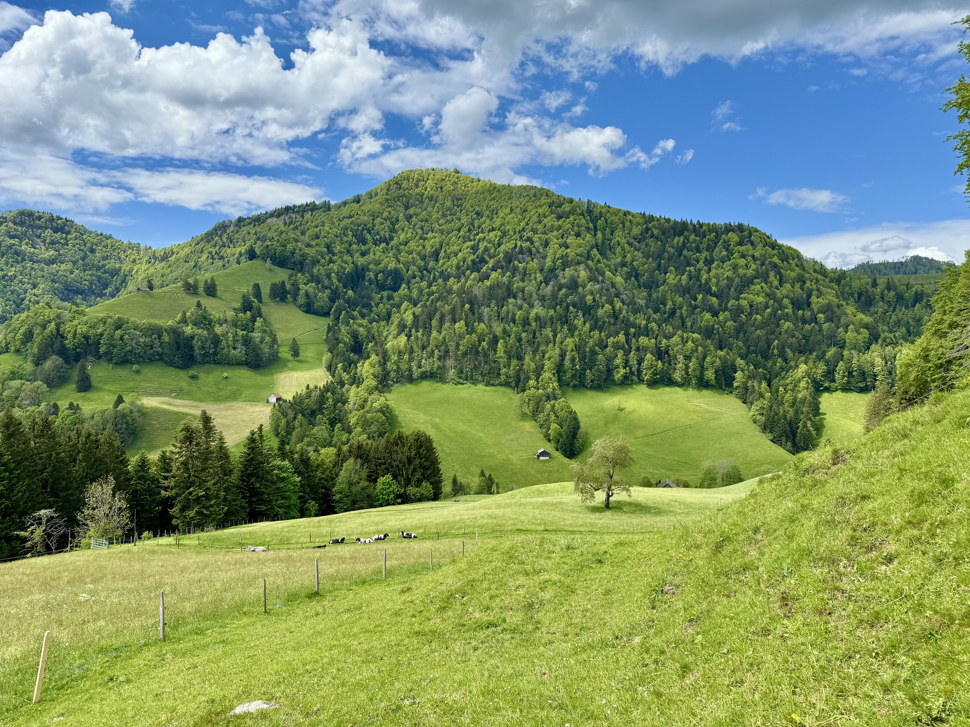 wanderung goldingen chrüzegg strecke 1