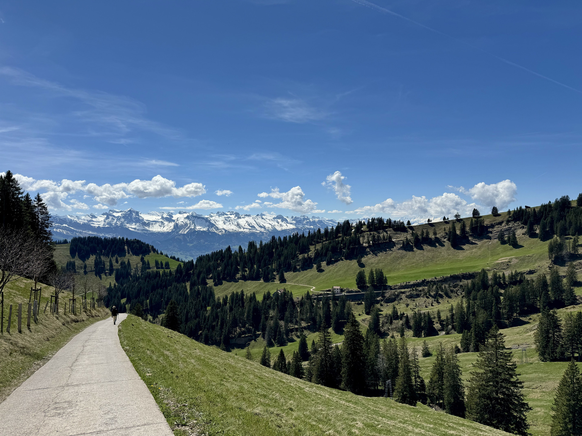 wanderung rigi luzern strecke 1