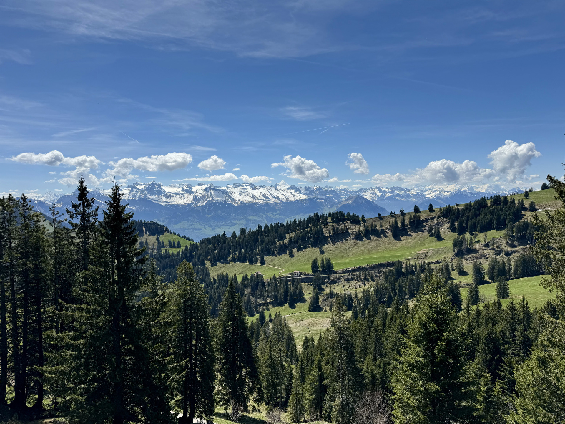 wanderung rigi luzern strecke 2