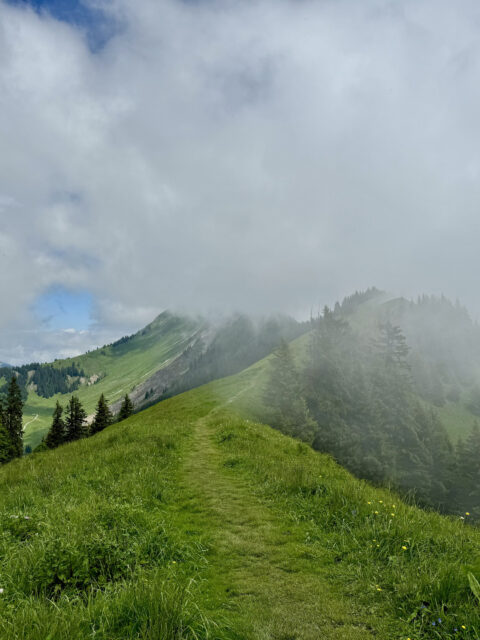 Harder Kulm Augstmatthorn Wanderung Strecke 4