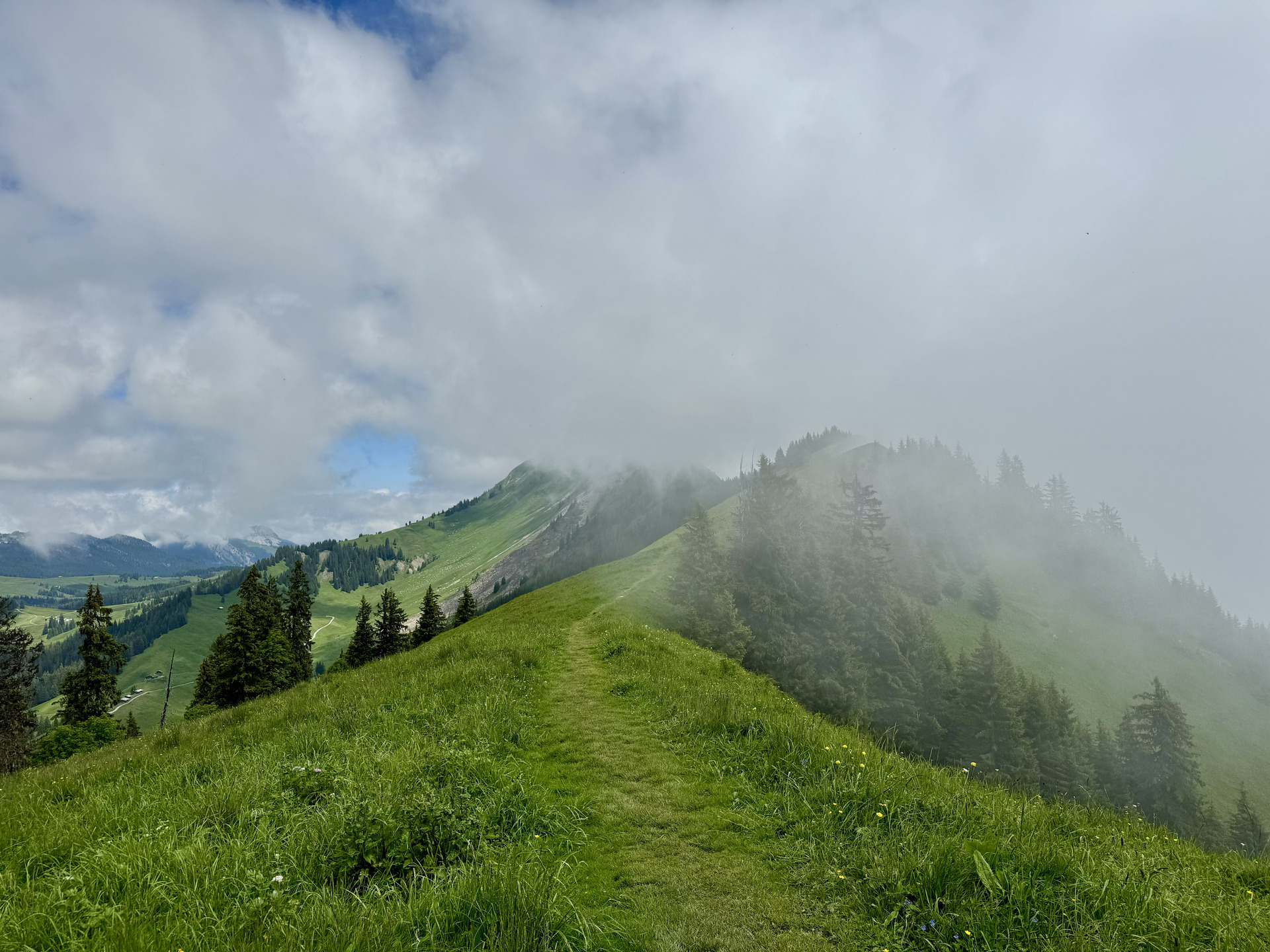 Harder Kulm Augstmatthorn Wanderung Strecke 4
