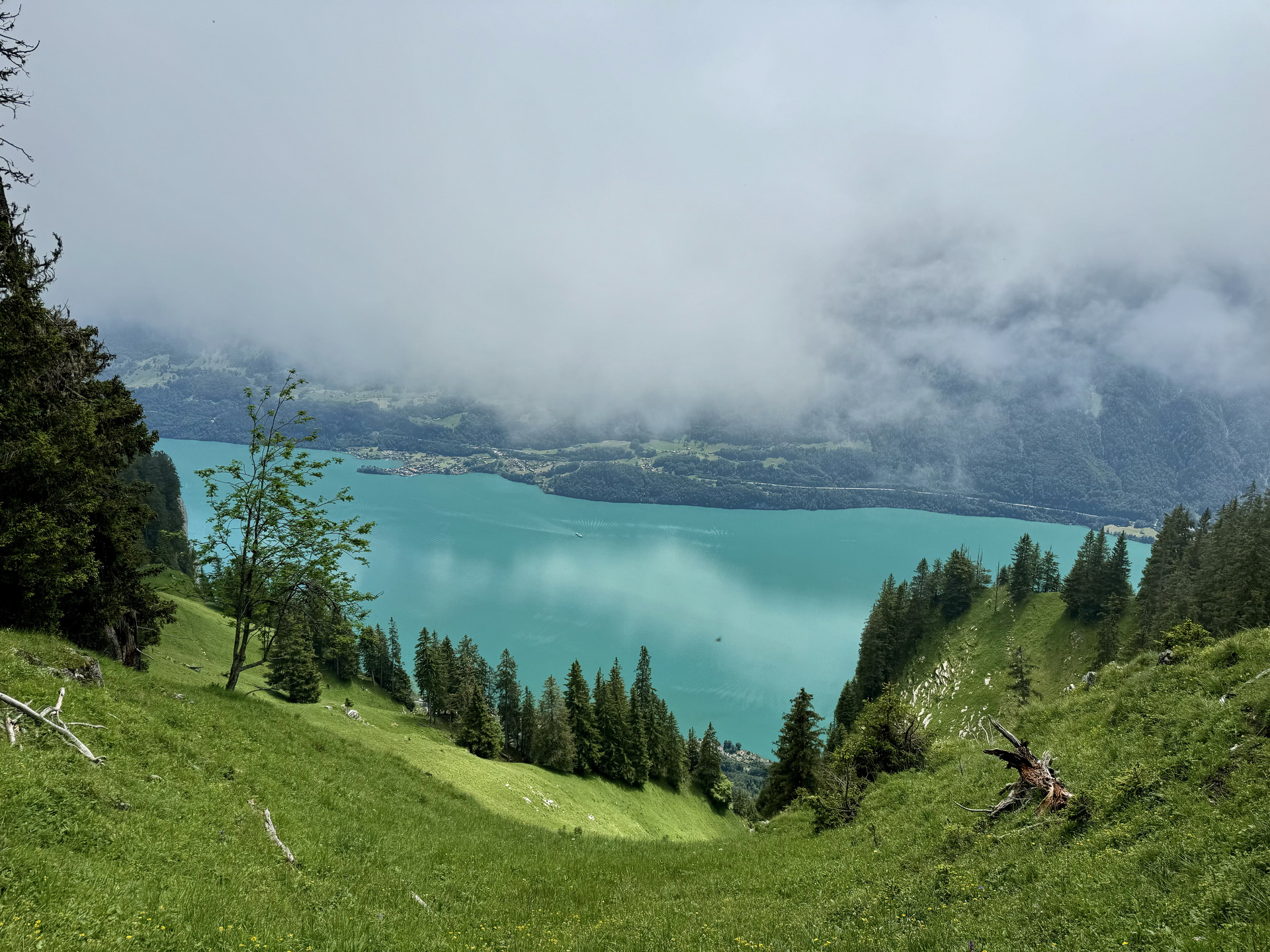 Harder Kulm Augstmatthorn Wanderung Strecke 6