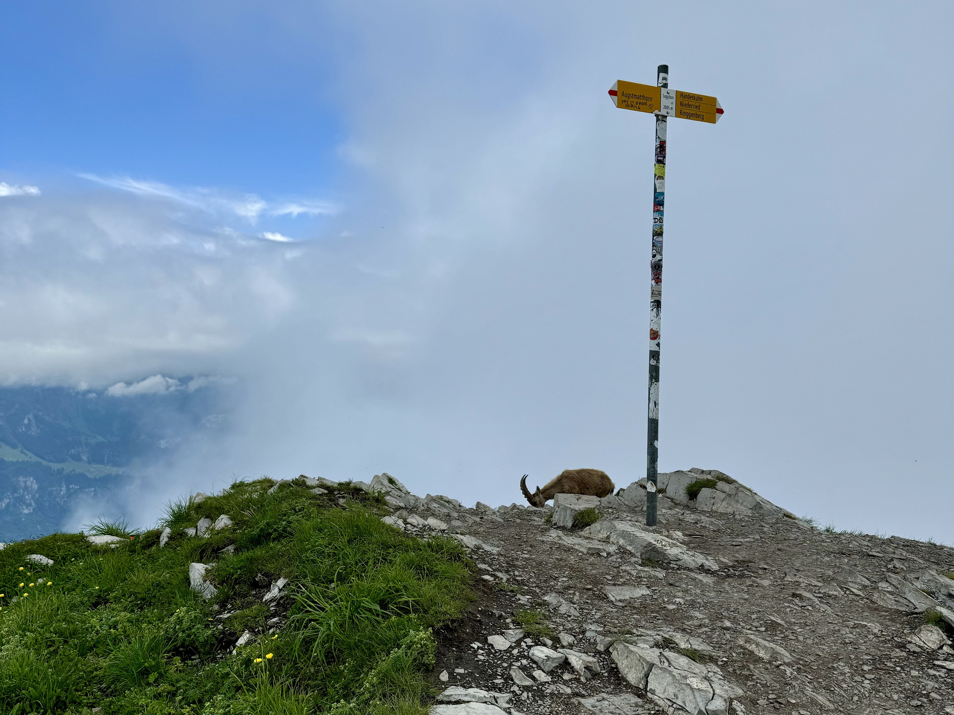 Harder Kulm Augstmatthorn Wanderung Strecke 9